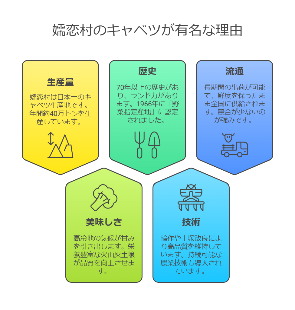 嬬恋キャベツが有名な理由5つ